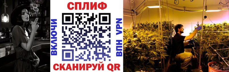 МАРИХУАНА ГИДРОПОН Купить Алзамай